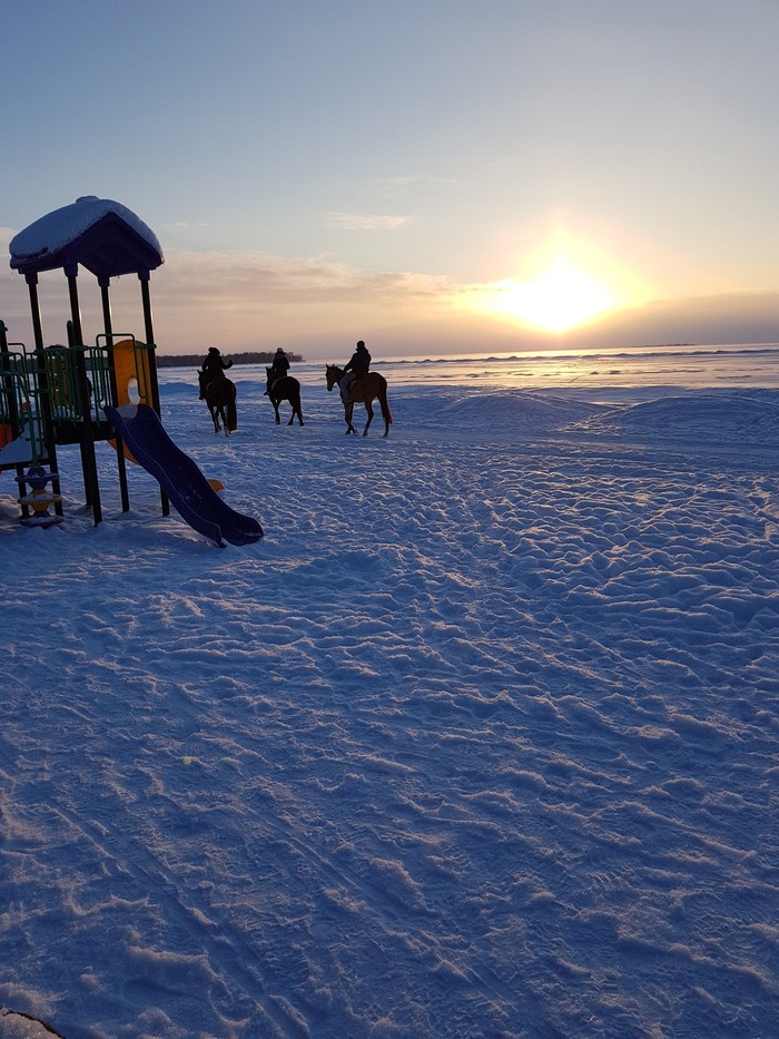 Tired of autumn and slush, I want creaky snow under my feet. - My, Winter, The Gulf of Finland, Snow