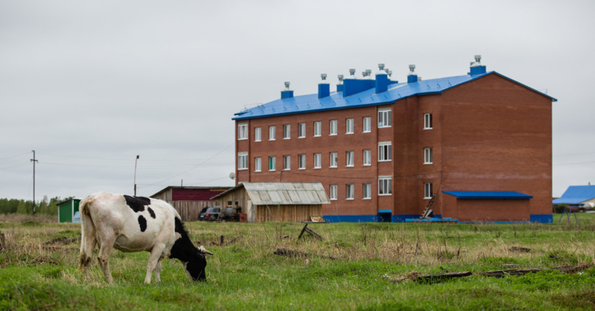 Фото в сытомино