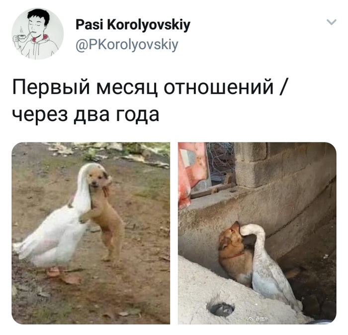 1540901551156261169.jpg