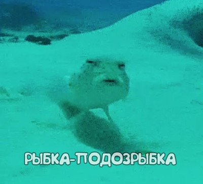 Встречайте