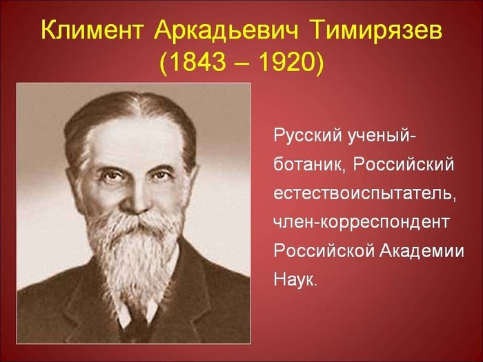 Uninvented stories 510 Victim of beauty ... - Uninvented tales, Timiryazev, Text, Poster