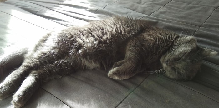 50 оттенков серого