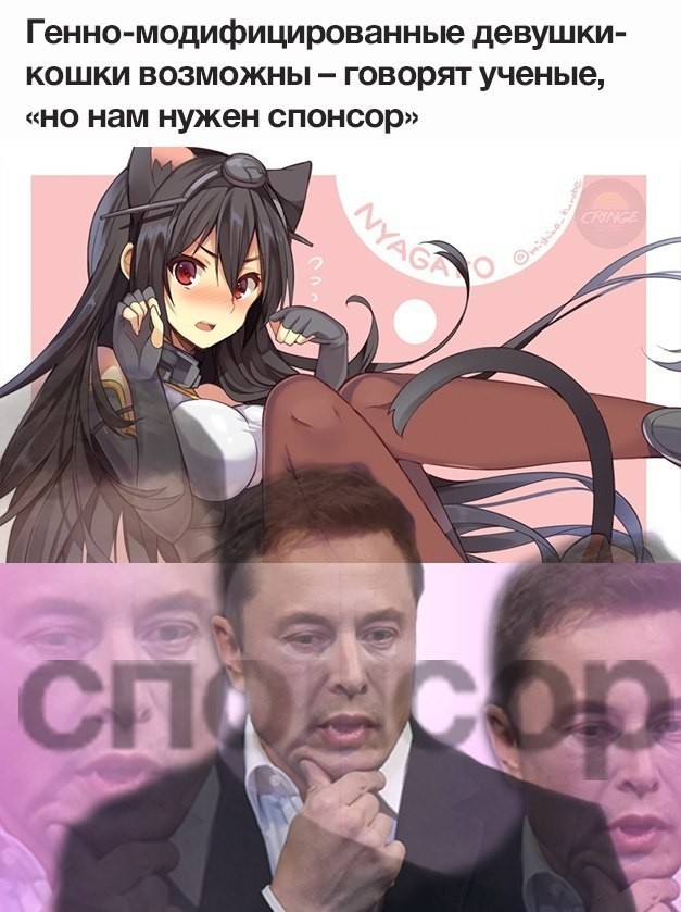 I would not refuse such innovations) - Humor, Anime, Elon Musk