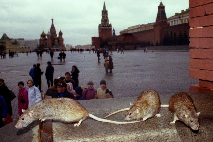 Photos of the 90s (Moscow) part 5 - Longpost, Past, Moscow, Nostalgia, 90th, The photo