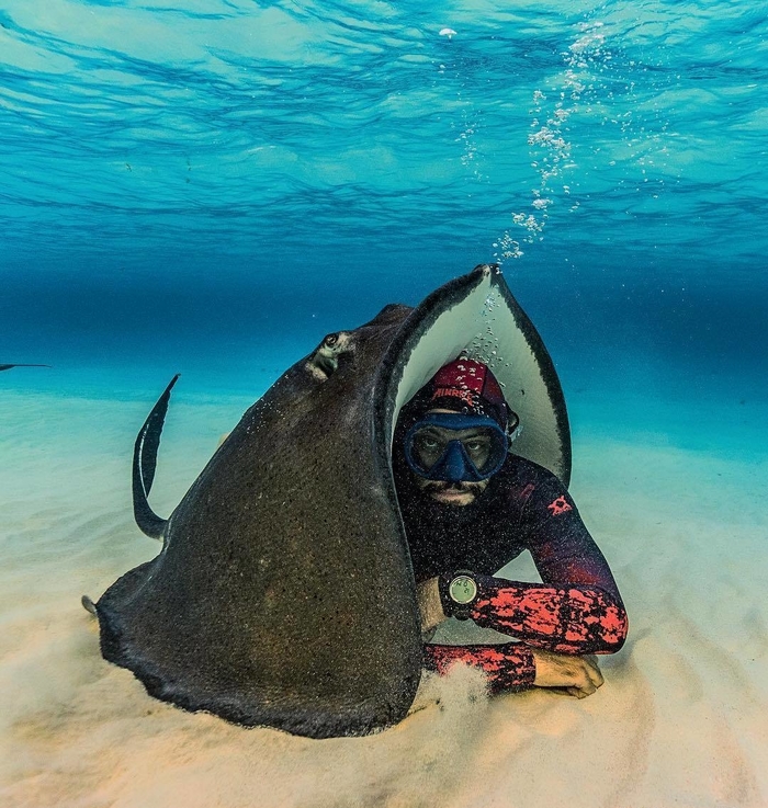 In case it gets cold underwater, you can take cover with a ramp - Stingray, Ocean, Water, Diver, Humor