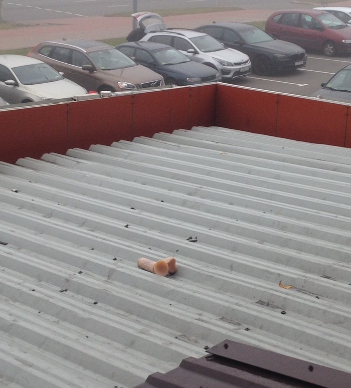 Decided to look out the window in the office - My, Dildo, Humor, Republic of Belarus, Minsk, Roof