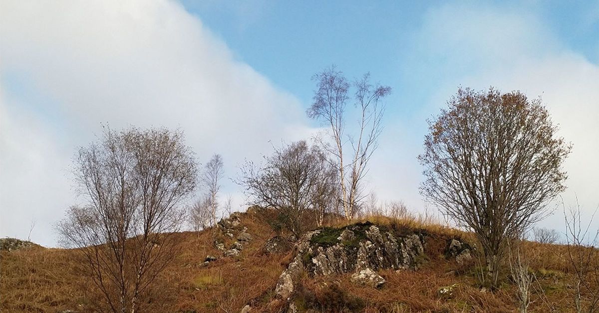 Фотографии загадок. Найди оленя на картинке. Найди на фото оленя. Головоломка Найди оленя. Загадка про фотографию.