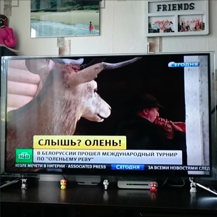 Слышь?Олень!