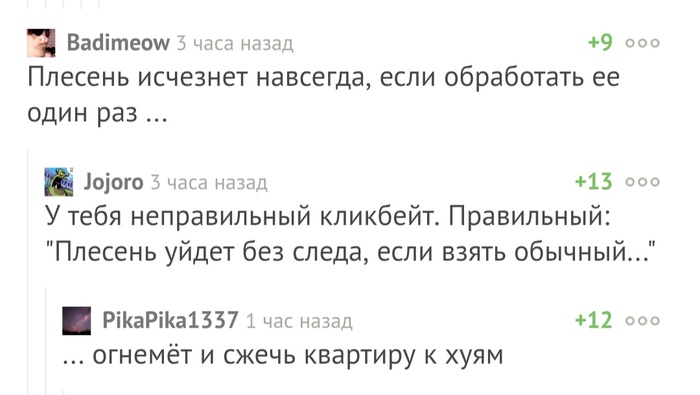 Лучшее средство от плесени - Плесень, Комментарии на Пикабу, Кликбейт
