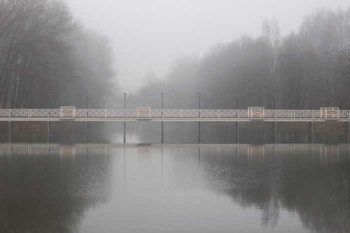 G. Smolensk Park Nightingale Grove. - My, Smolensk, Bridge, Fog, Silent Hill, Weather, The park, The photo