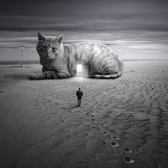 ��� ��� ��� ����� ���� ���...