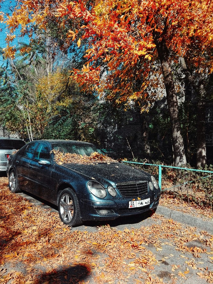 Осенний джаз. - Моё, Осень, Фотография, Городские пейзажи, Авто, Краски, Уличная фотография