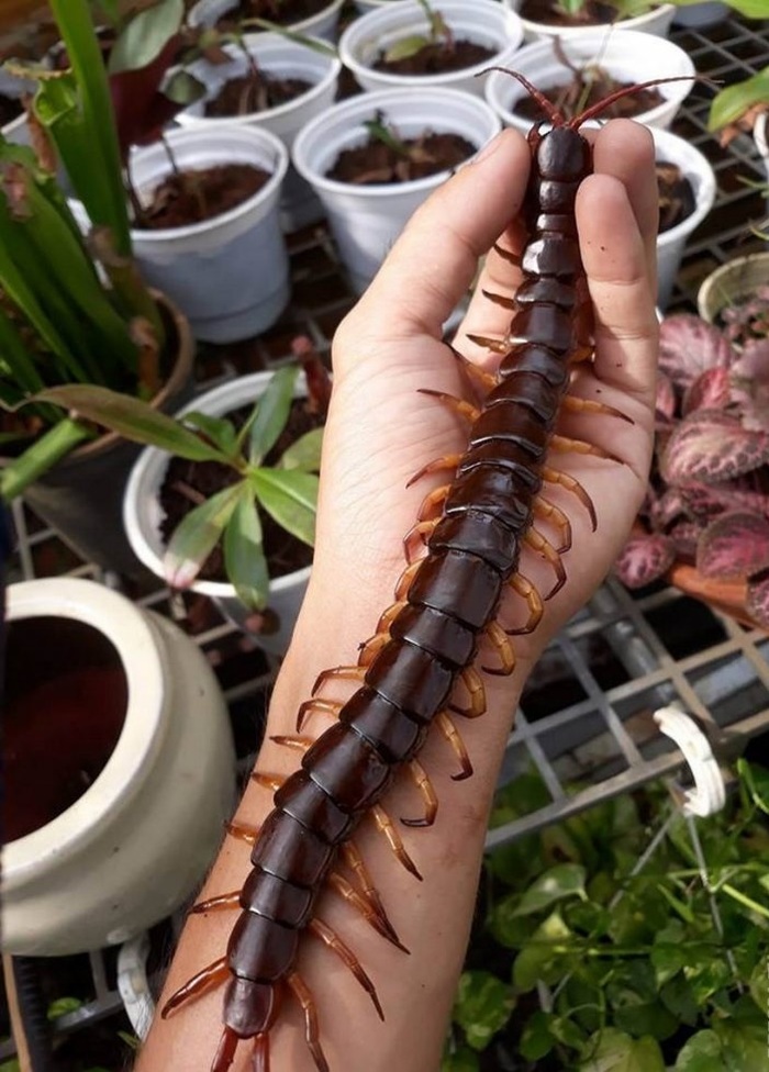 ���������� �����, � �����...