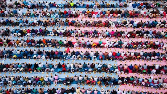 Подскажите что это?