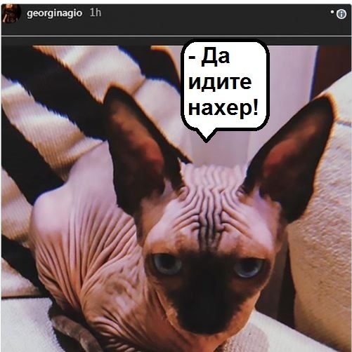 ��� ���� ������ ��������