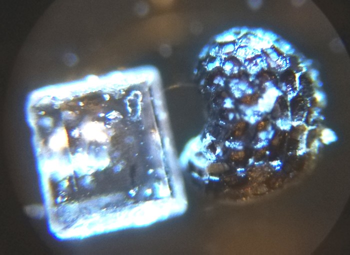 Poppy seed & sugar crystal. - Macro, My, Macro photography