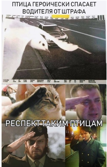     , , ,   ,  
