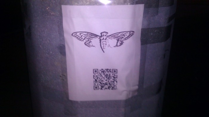  3301      :3 (     qr )  3301, IT, QR-, 