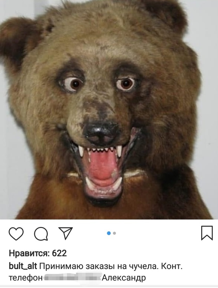 Taxidermist 80lvl - , Scarecrow, Longpost, Taxidermy