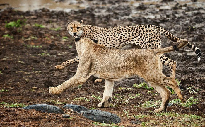 ����� � ���� ��������