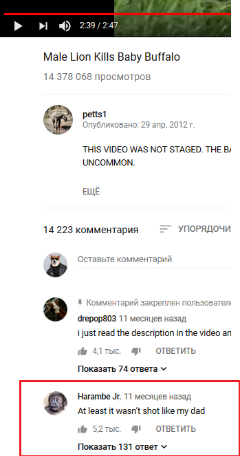   . , YouTube, , 