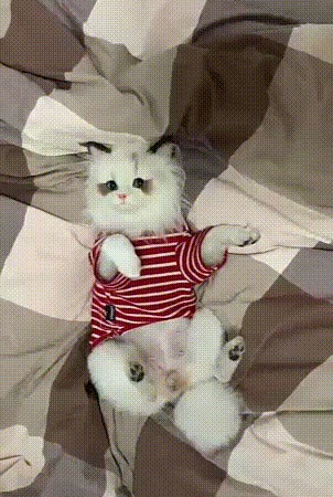 Котопёс