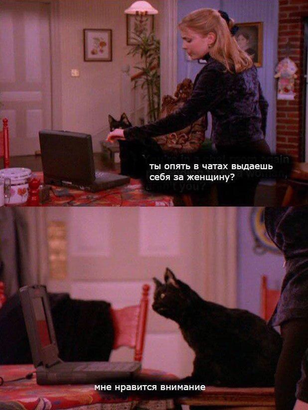 Are you sure you're a girl? - cat, Sabrina the Little Witch, Picture with text, Salem Saberhagen
