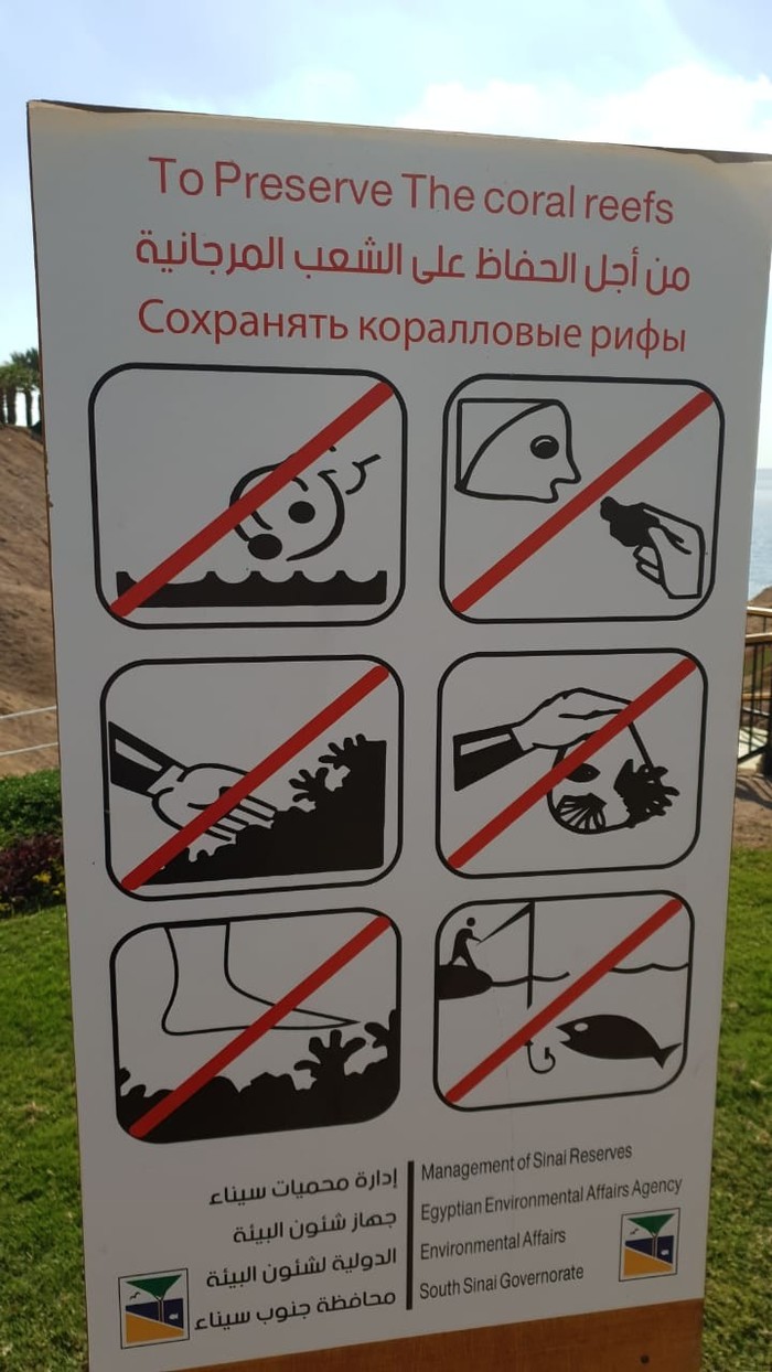 �������� � ������ � ����