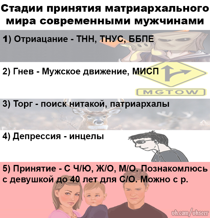 Five Stages of Adoption of Matriarchy - My, Stages of adoption, Male movement, Misp, Mgtow, Scouting with a trailer, Tnn, Incels, 