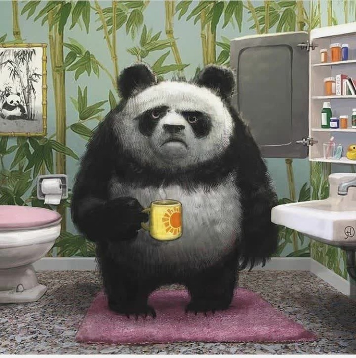 Sullen panda - Panda, Images, Sullen, Morning