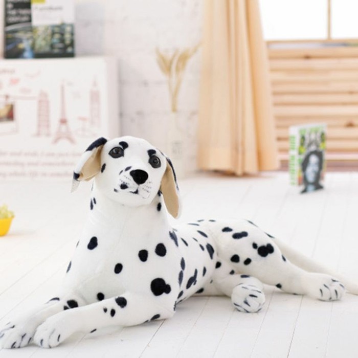 � ���� �������� �� ���������