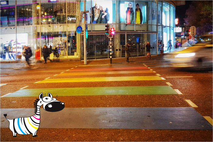 Multicolored zebra. - Street art, My, Netherlands (Holland), Crosswalk, zebra, Holland