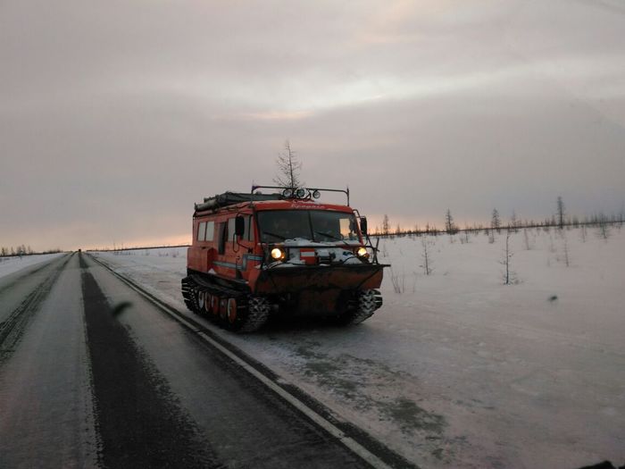 Tramp - My, All-terrain vehicle, YaNAO, Tramp, Tracked all-terrain vehicle, Tundra