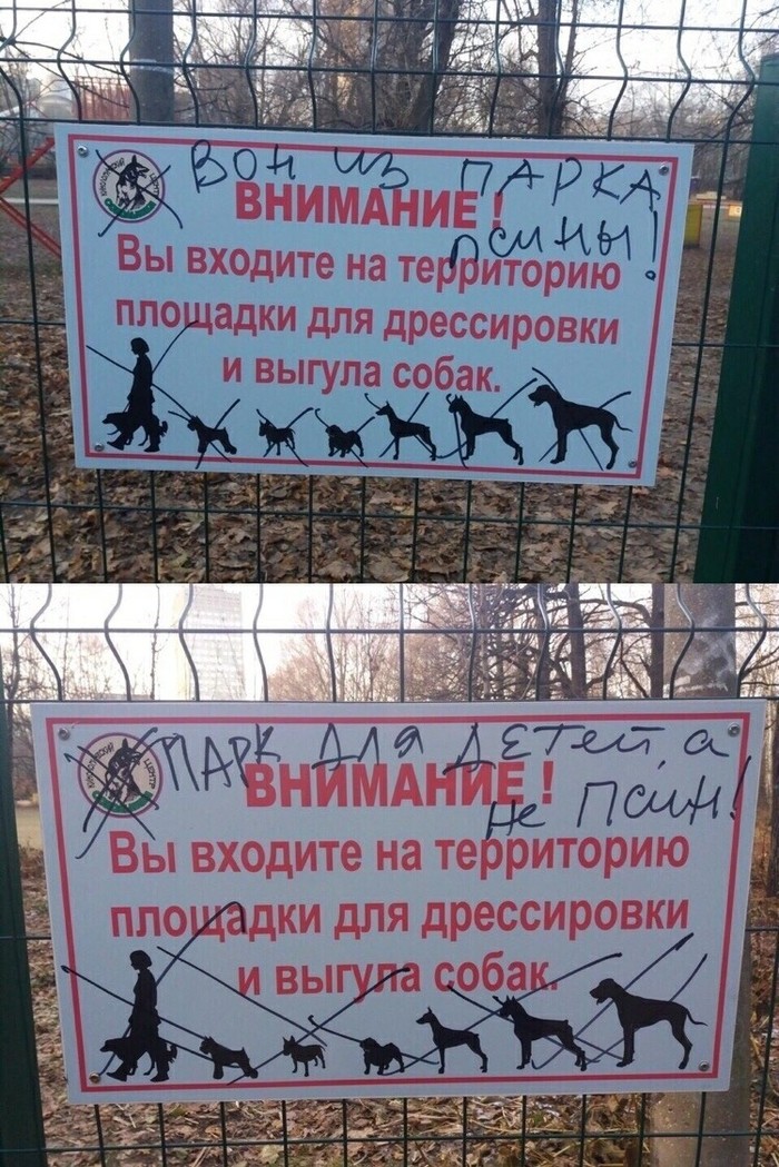Near the cynological center in Sokolniki - The park, Yamma, Dog, Moscow, Sokolniki, Cattle