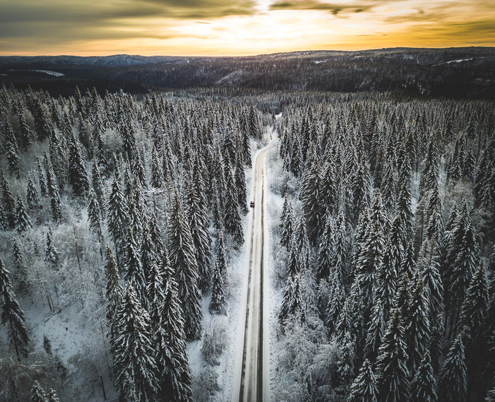 Road through the snowy taiga - My, Perm Territory, Winter, Road, Forest, Landscape, Drone, Quadcopter, DJI Mavic PRO