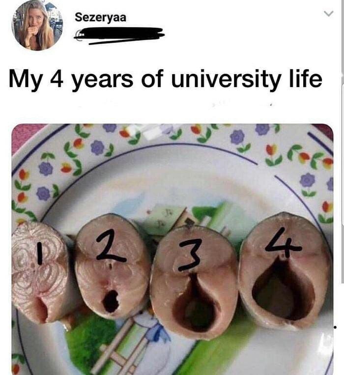 Мои 4 года жизни в университете.