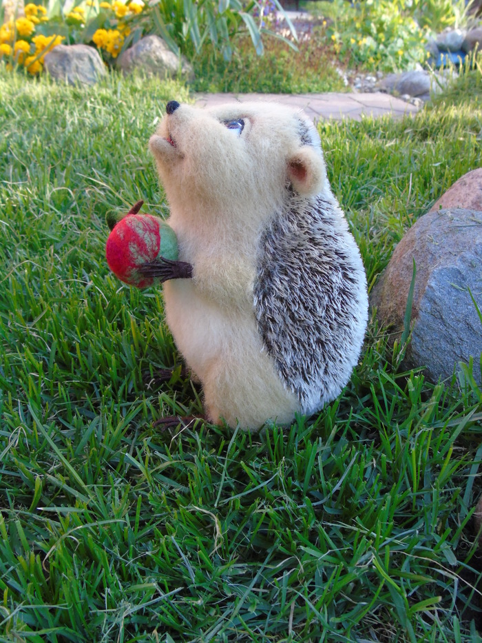 Hedgehog Tusya. - My, Needlework without process, Soft toy, Wool toy, Author's toy, Handmade, Needlework, Longpost, Hedgehog