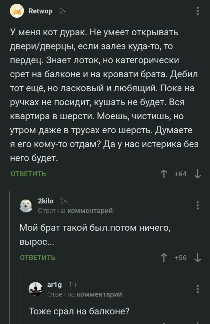 Немного о наших братьях меньших. - Комментарии, Комментарии на Пикабу