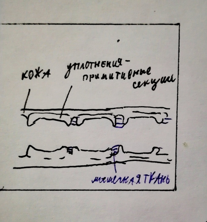 Можно ли считать что эволюция человека прекратилась. Смотреть фото Можно ли считать что эволюция человека прекратилась. Смотреть картинку Можно ли считать что эволюция человека прекратилась. Картинка про Можно ли считать что эволюция человека прекратилась. Фото Можно ли считать что эволюция человека прекратилась