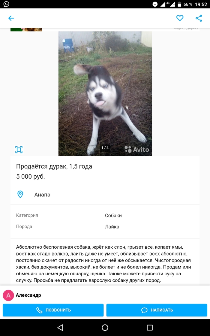 ��������� �����....