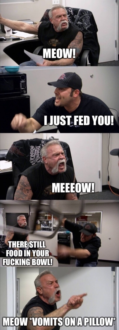 (On) / (Not) fed cat - cat, Memes, Imgur, American chopper, Picture with text