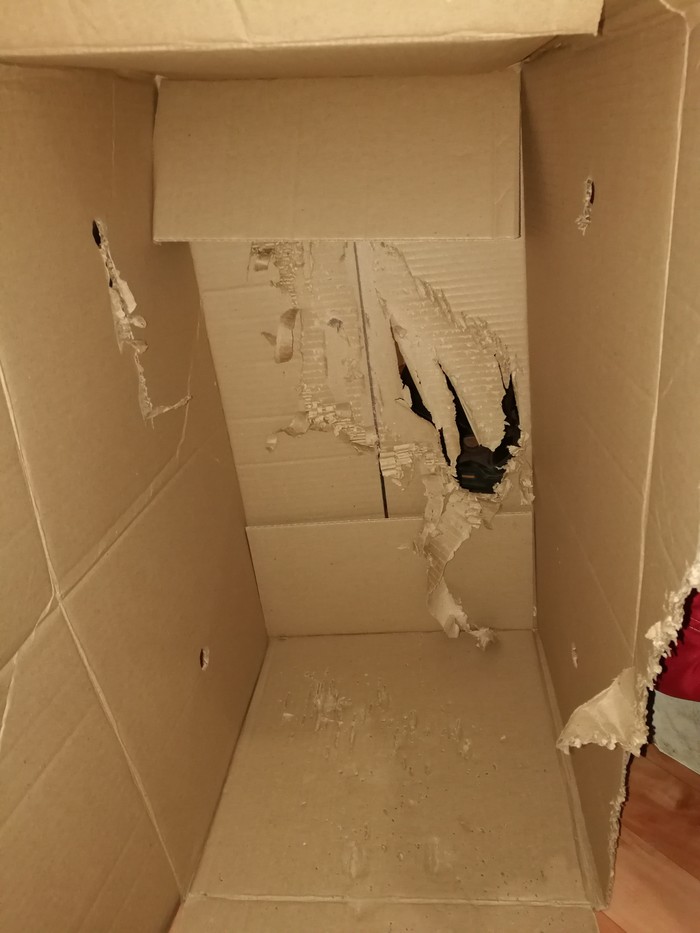 Лучший подарок на день рождения