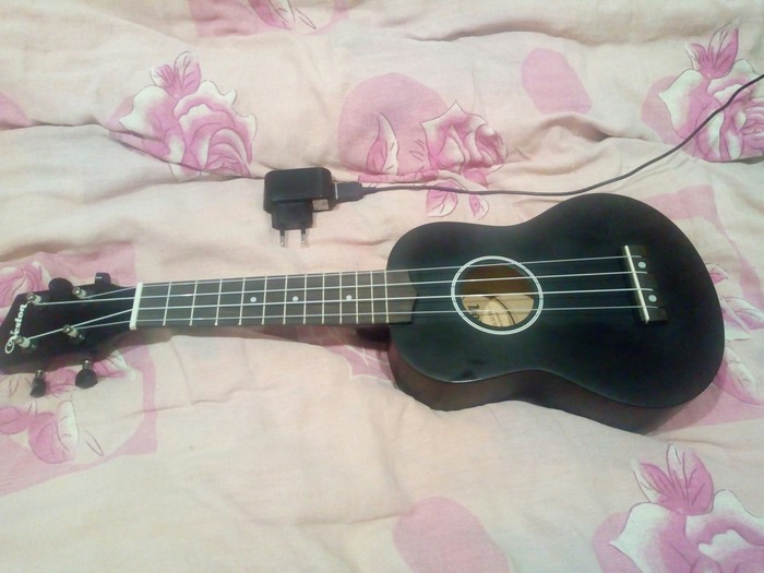 I bought a ukulele :) - Ukulele, My, Purchase