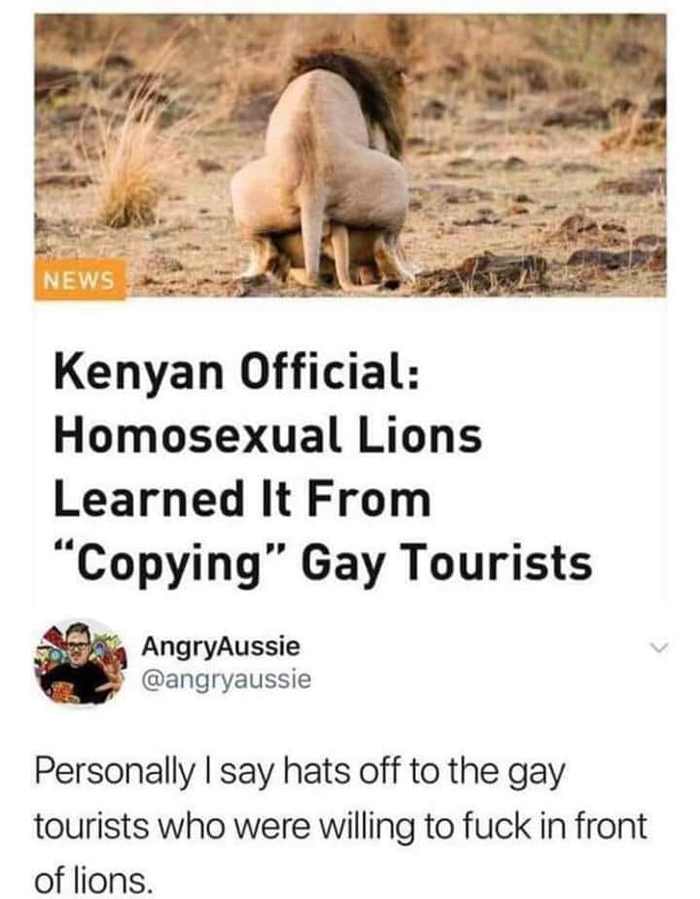 Kenyan officials: Homosexual lions learned it by copying gay tourists - Kenya, Homosexuality, a lion, Picture with text, Lost in translation, Homophobia, Obscurantism, Homosexuality