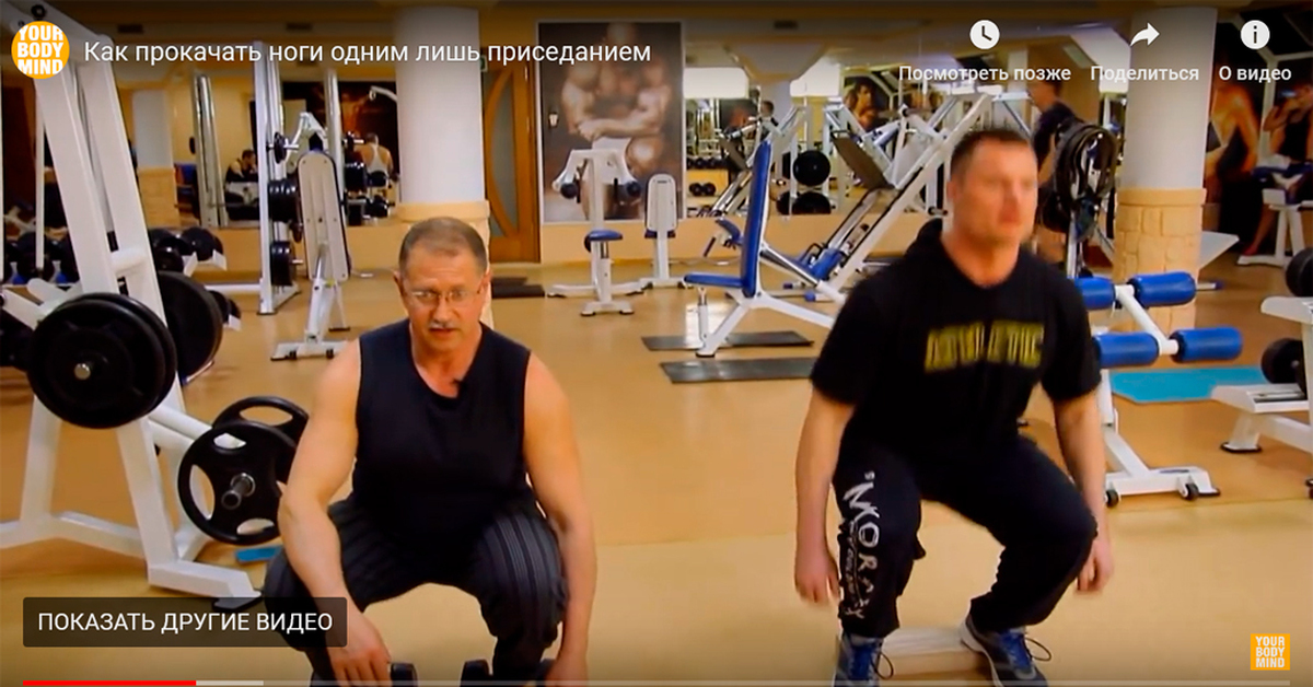 �������� ������������ ������������: ����.