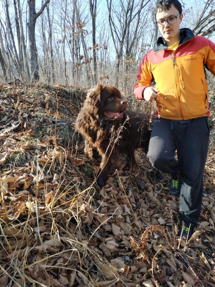 Nyufych - My, Dog, Newfoundland, Mental health, , Longpost