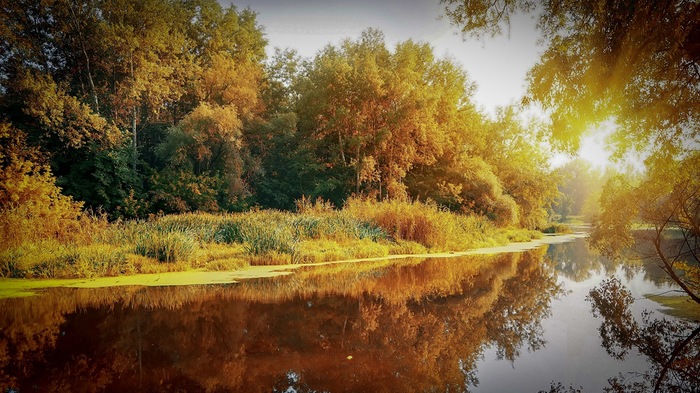 Ай да Пушкин, ай да сукин сын