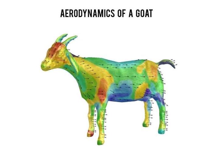 Аэродинамика козы - Аэродинамика, Коза, Наука, Интересное