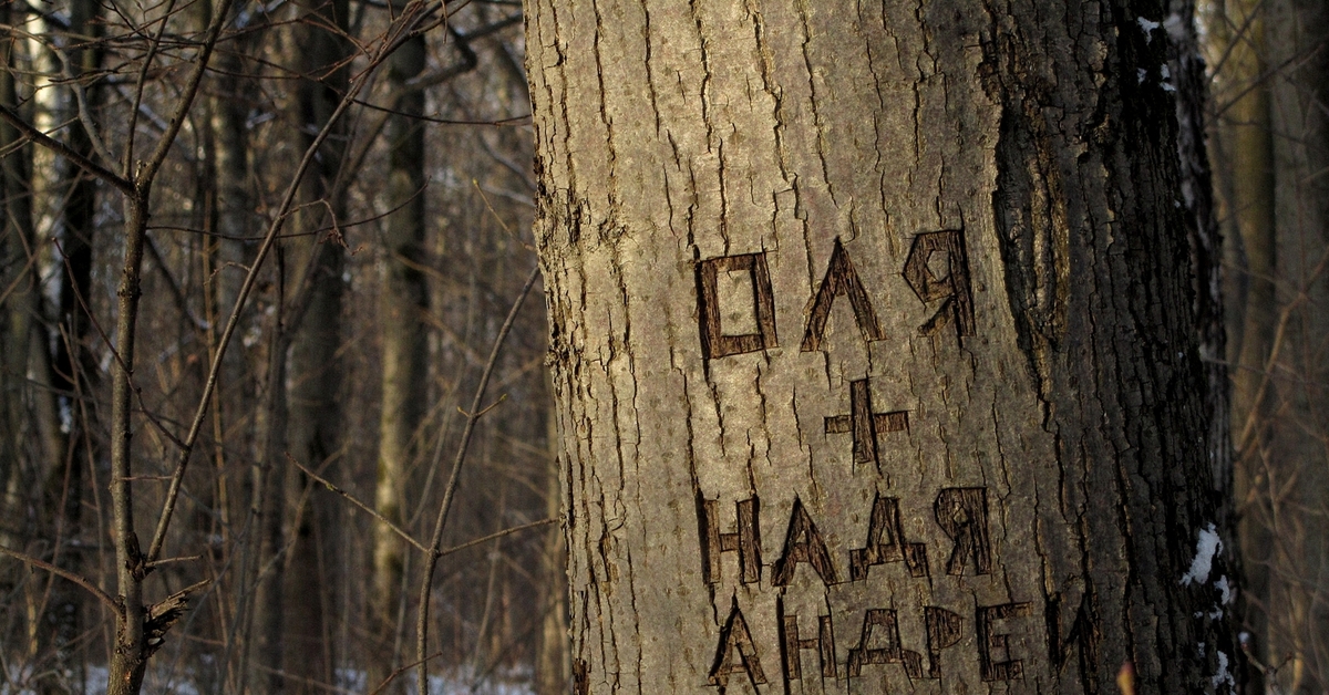 Загадочные надписи под фото