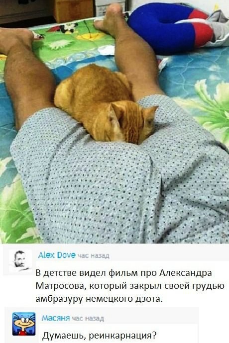 Реинкарнация